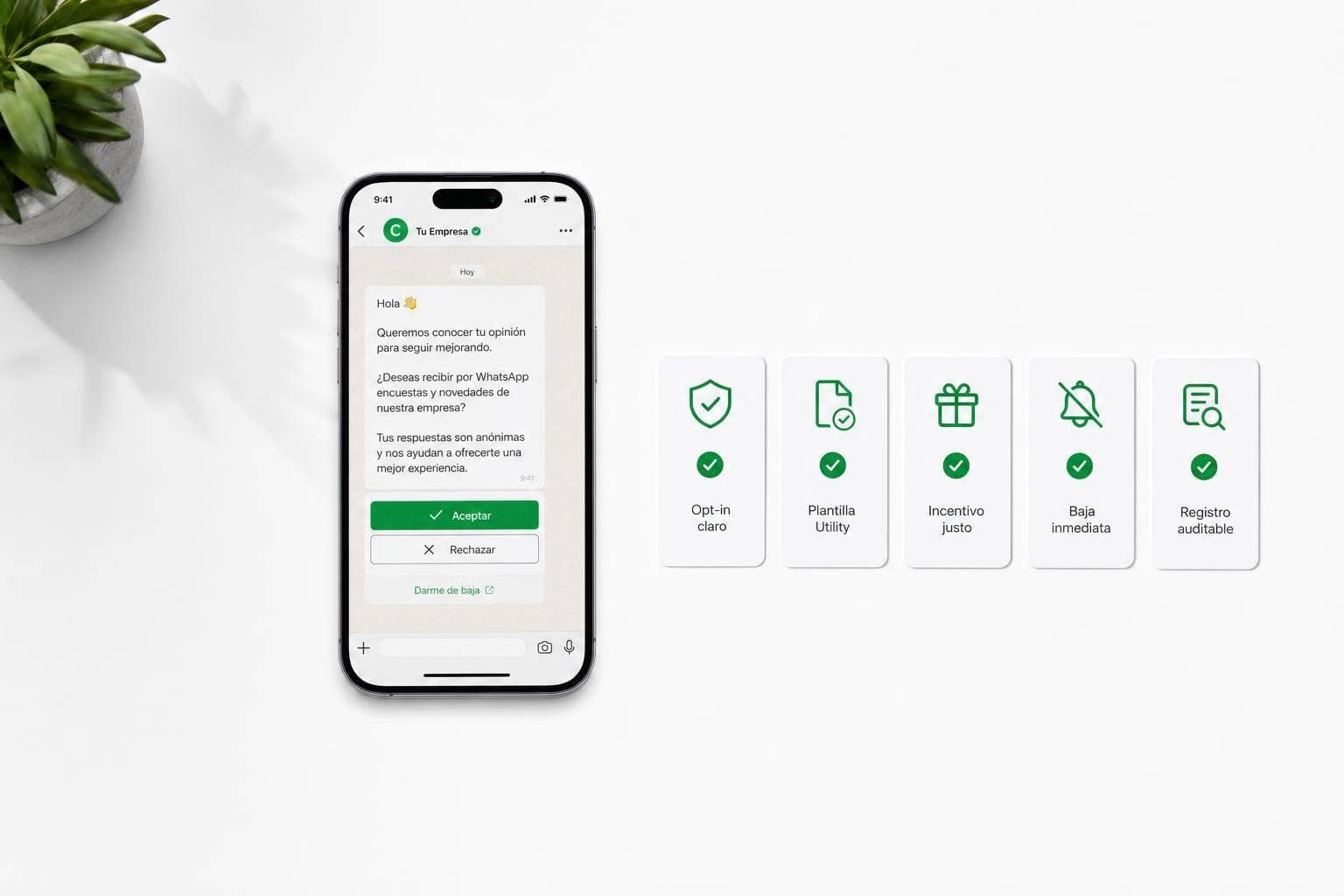 Normas para campañas de feedback en WhatsApp